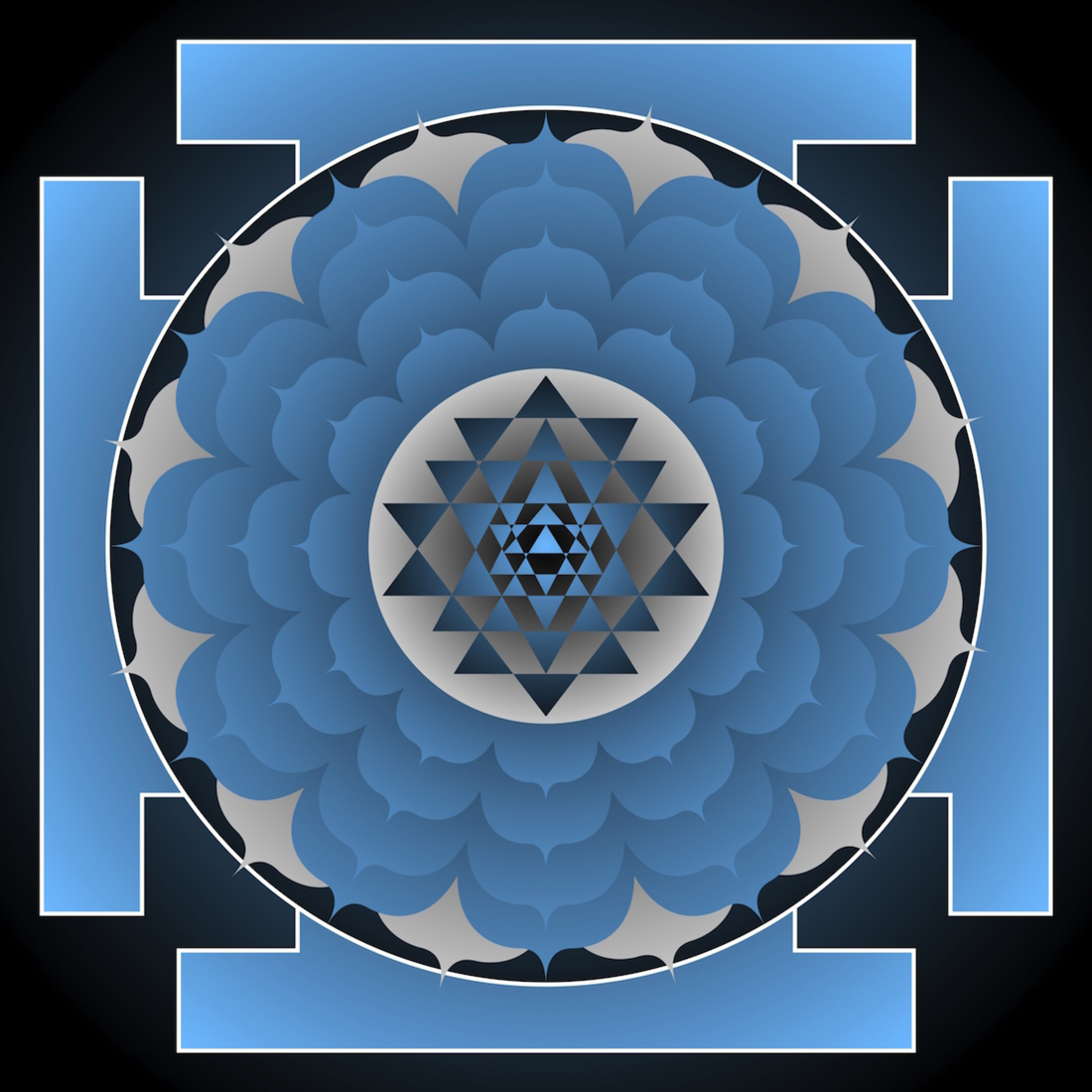 Loading Image